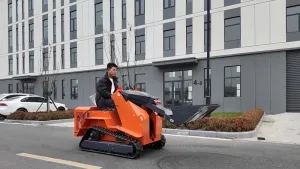 Minicargadora sobre orugas T490 (250 kg)